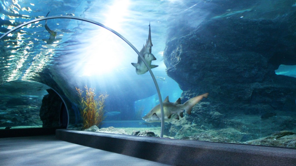 Ripley's Aquarium of Canada