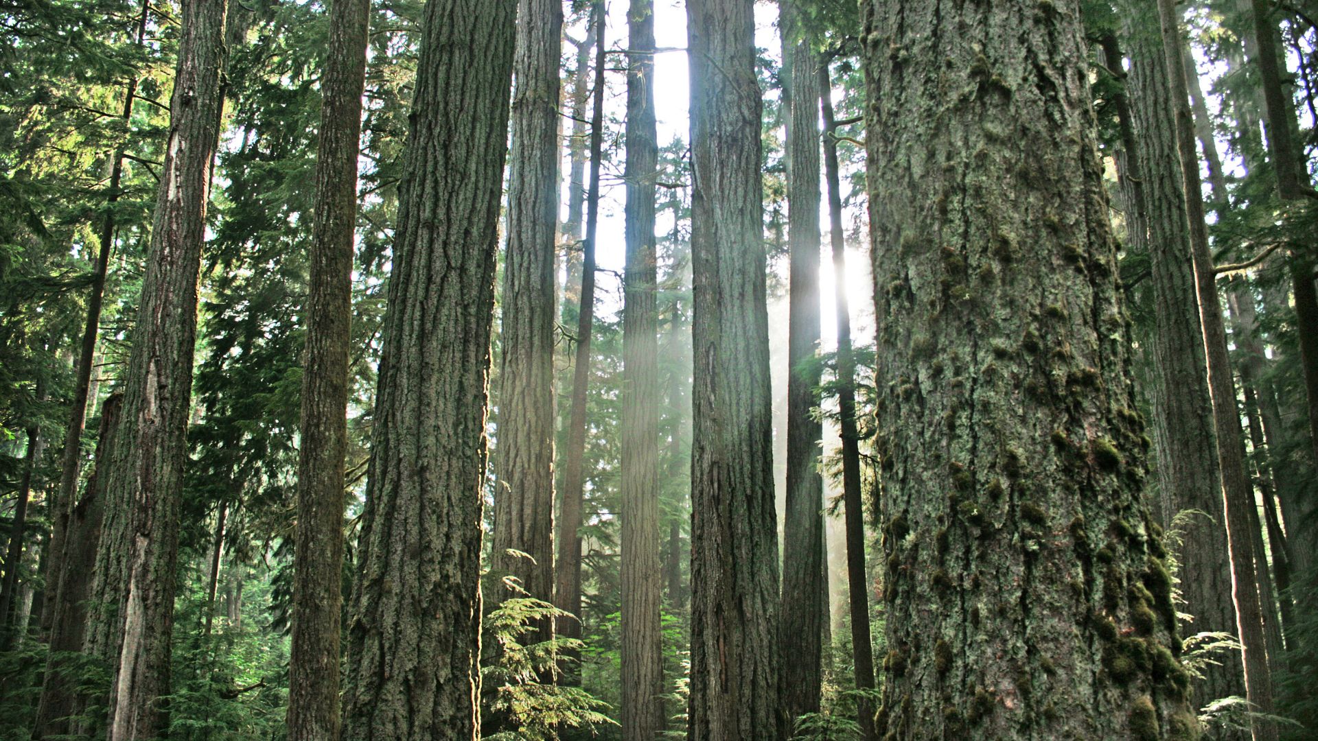 Tofino, British Columbia